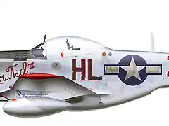 P-51d.25