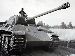 Panther zimmerit 5