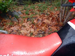 DSCN1841 DSCN1841