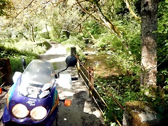 DSCN4894 DSCN4894