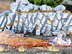 DSC_1303 DSC_1303