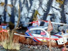 DSC_1301 DSC_1301