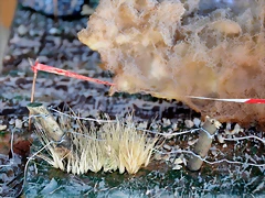DSC_1304 DSC_1304