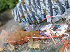 DSC_1310 DSC_1310