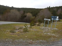 DSCN9273.JPEG DSCN9273.JPEG