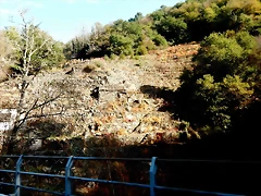 DSCN1582 DSCN1582
