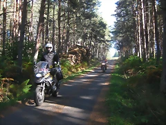 IMG_0715.2 IMG_0715.2