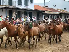 _DSC6133 Yeguada El Roco