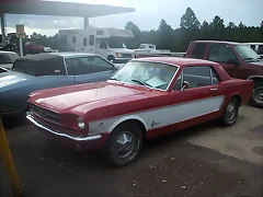 MUSTANG ARIZONA