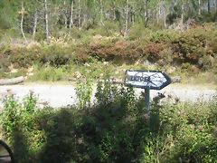 IMG_0516 IMG_0516