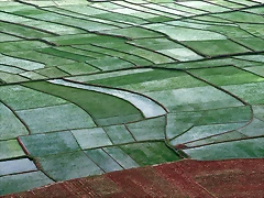 fg16004020