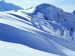 fg_1600_002