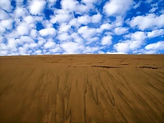 fg_1600_015