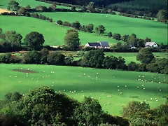 Fields and Farmhouses of County Cork, Ireland