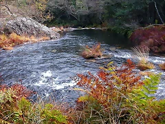 DSCN9257 DSCN9257