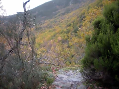 DSCN0784 DSCN0784