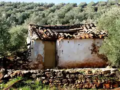 13, cortijo domitila, marca