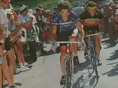 TOUR 1983-PERICO-VAN IMPE.