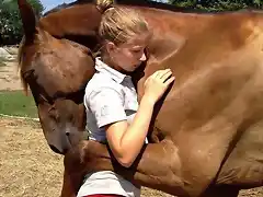 Amor de caballo