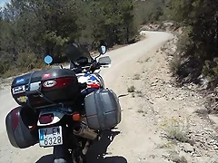 04