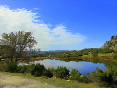 78-IMG_3517 78-IMG_3517