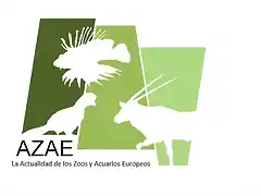 AZAE