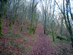 DSCN2086 DSCN2086
