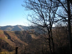 DSCN2392 DSCN2392