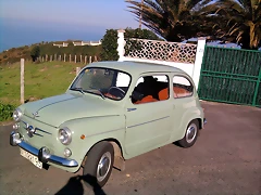 Seat 600 Colina del Cuervo Febrero\'11 (7)