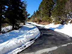 DSCN1805 DSCN1805