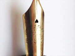 Bos5