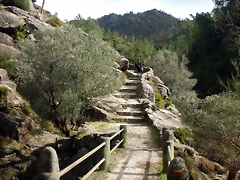 DSCN1961 DSCN1961