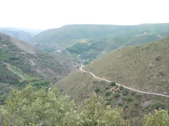 P1070098