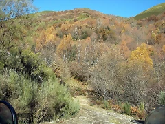 DSCN6857