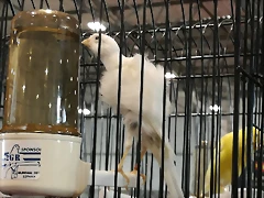 IMG_20170122_133038 IMG_20170122_133038