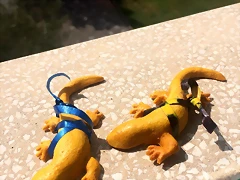 e2 e2