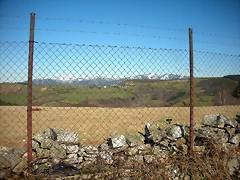 DSCN2915