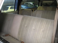 IMG_7919 IMG_7919