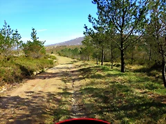 20-IMG_5233
