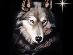 lobo estrella