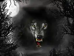 Lobo%20y%20Luna_800