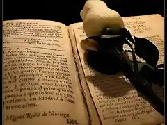 rosa y libro