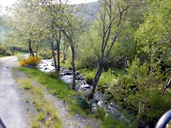 DSCN1412 DSCN1412