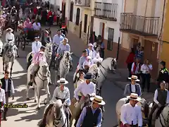 02, caballos, marca