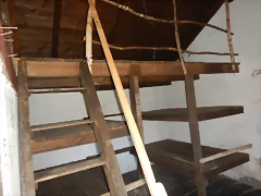 DSCN1364 DSCN1364