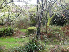 DSCN5758 DSCN5758