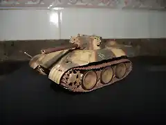 PANTHER1