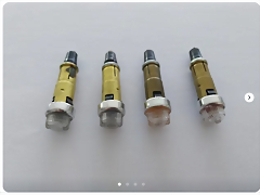 Pilotos