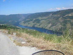 IMG_2764 IMG_2764