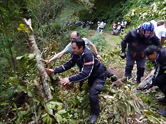 DSCN9810 DSCN9810